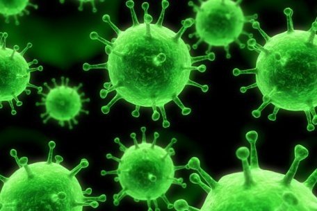 Il Coronavirus: la paura del virus e il virus della paura